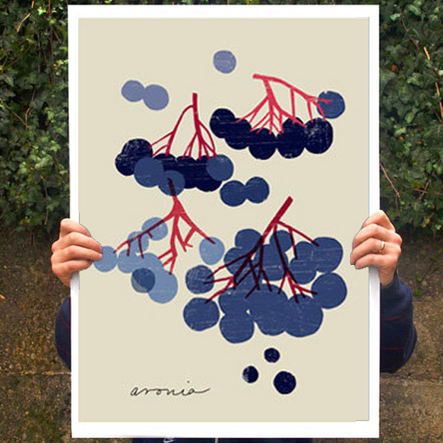 Black Chokeberry blue Aronia 돈들어오는 그림 포스터 액자 아로니아 anek 50x70